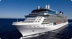 CELEBRITY SILHOUETTE DUE