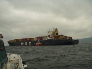 msc sarah