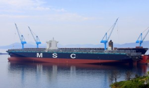 msc london 15,500 teu