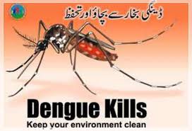 dengue