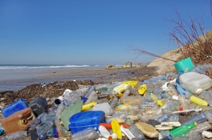 plastica-mare-oceani-inquinamento-aumento-mercurio-pesci-rischi-salute