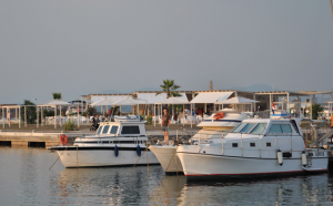 porto di pisa