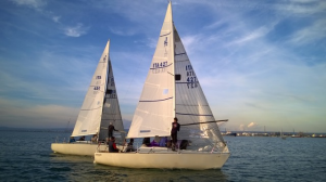 j24 regata velica