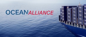 ocean-alliance-680