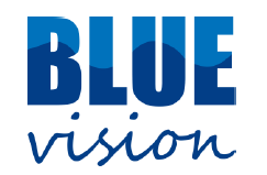 blue vision logo