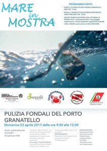 mare-in-mostra