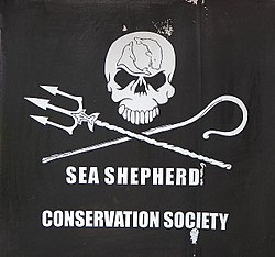 sea-shepherd