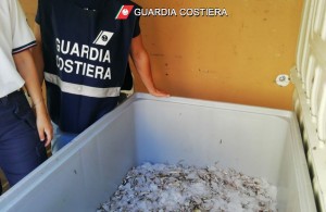 guardia-costiera-salerno-pesca-illegale