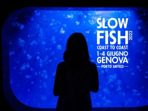 inf-nav-slow-fish-2023